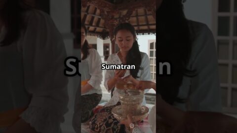 Sumatra Slim Belly Tonic Review: Astonishing Truth For 2025