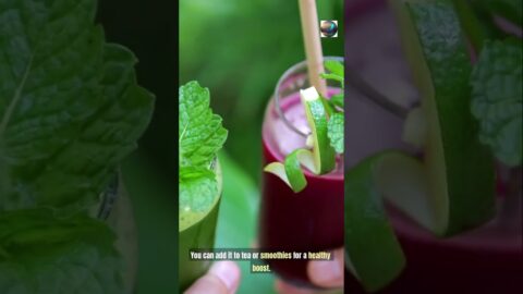 Java Burn Review  Can This Coffee Hack Really Burn Fat Fast