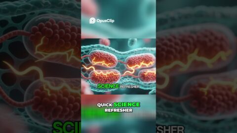 🔬 MITOLYN Supplement: Energy, Fat Loss & Bonuses Revealed! Full 2025 Review 💊💥 #mitolyn #fatloss