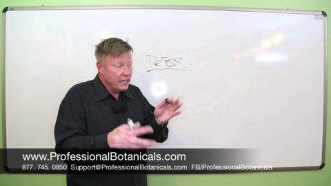 Why You Should Detox Your Liver? | Professional Botanicals | Best Supplement Manufacturers pt. 5
