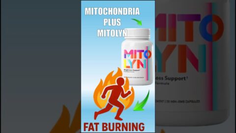 What is Mitolyn & Your Mitochondria: The Real Fat-Burning Science