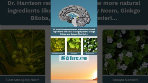 Pineal Guardian for memory #PinealGuardian, #MemorySupport, #BrainHealth