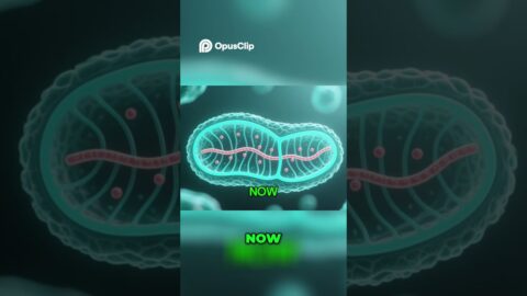 🌱 Mitolyn Review 2025: Real Science, Real Results — Does It Work? ⚡ #mitolyn