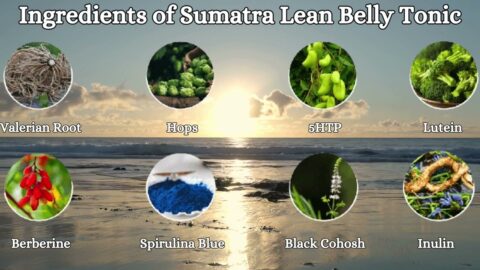 What is the truth of Sumatra Slim Belly Tonic, know from Sumatra Slim Belly Tonic Review Article!