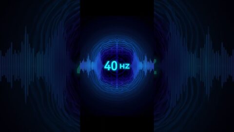 40Hz Gamma Waves | Study & Productivity Music | Binaural Beats for Focus