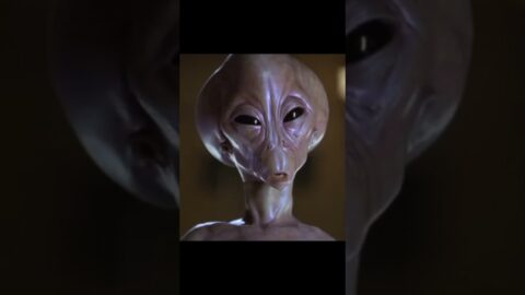 Should We Be Offended By This? | Stargate SG1