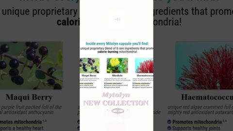 MITOLYN Review – Natural Diabetes Supplement That REALLY Works (Before & After Results)