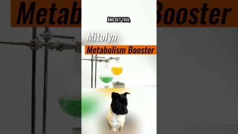 4 Critical Mistakes to Avoid When Using Mitolyn Metabolism Booster for Best Results