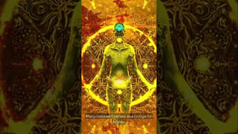 Unlocking Your Pineal Gland The Secret to Heighten #brainhealth